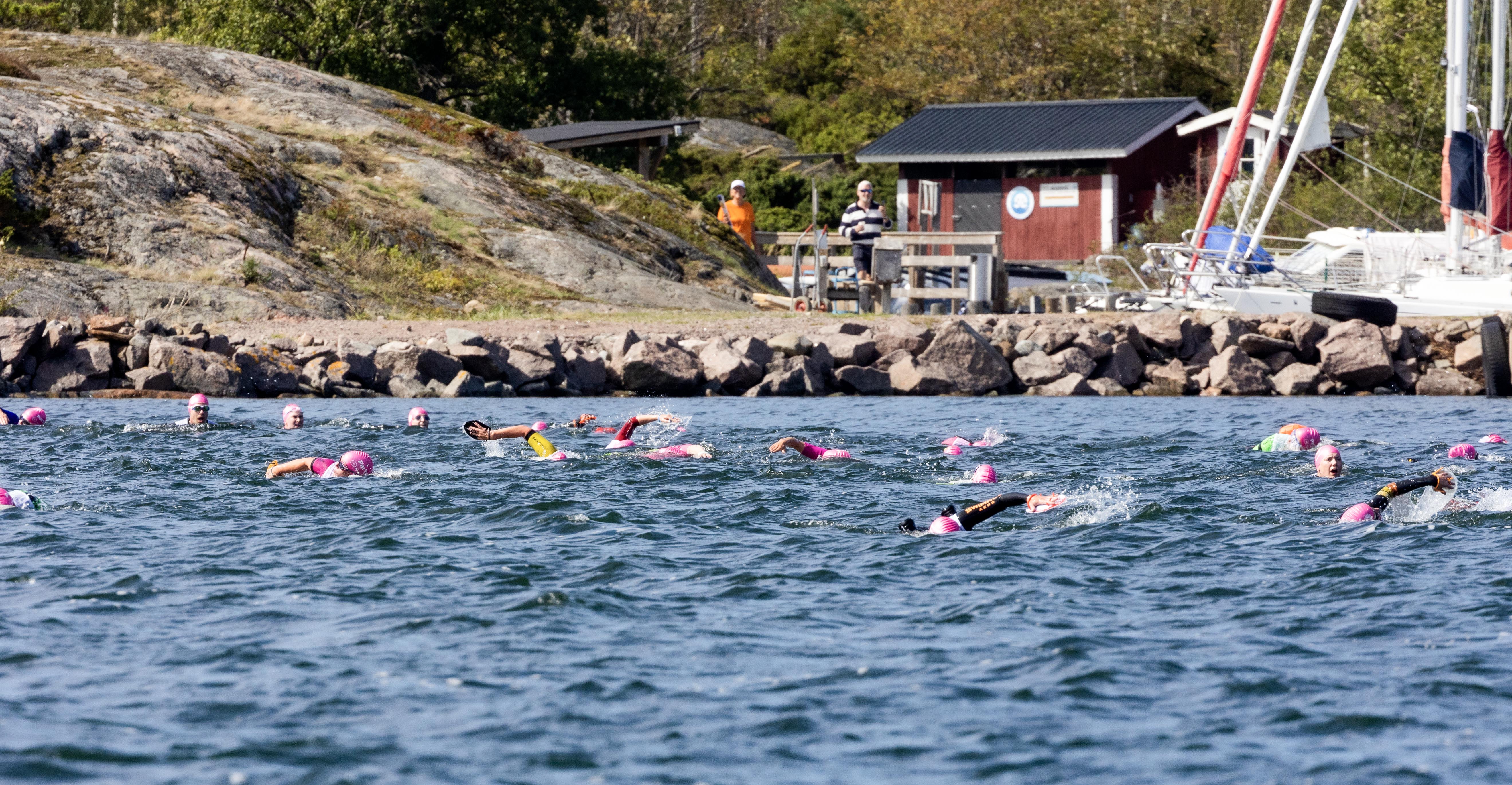 badmösseklädda huvuden syns i havet.