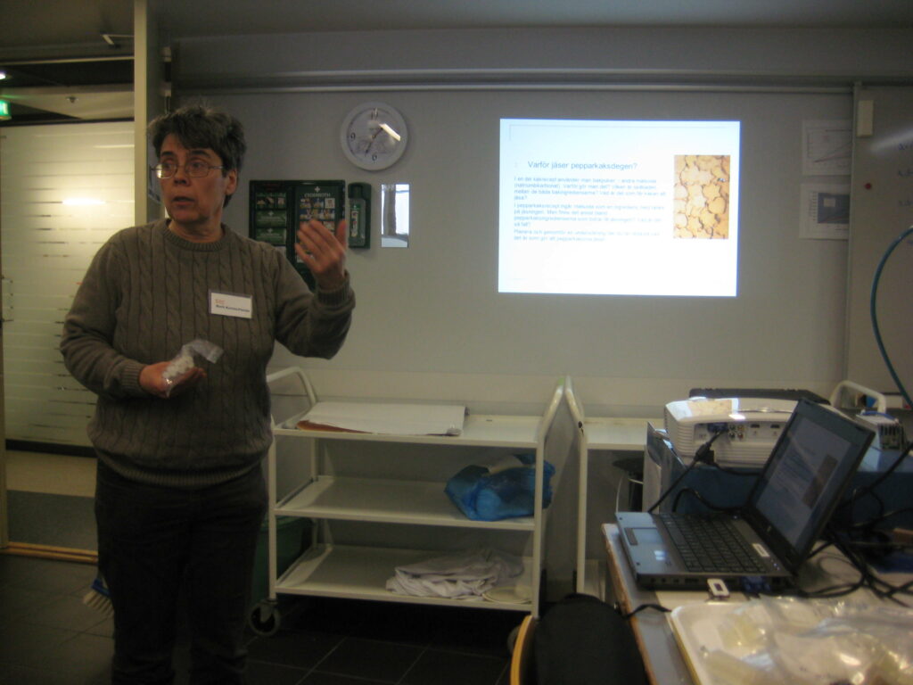 Berit Kurtén undervisar på SIC-seminariet Öppna labbar.