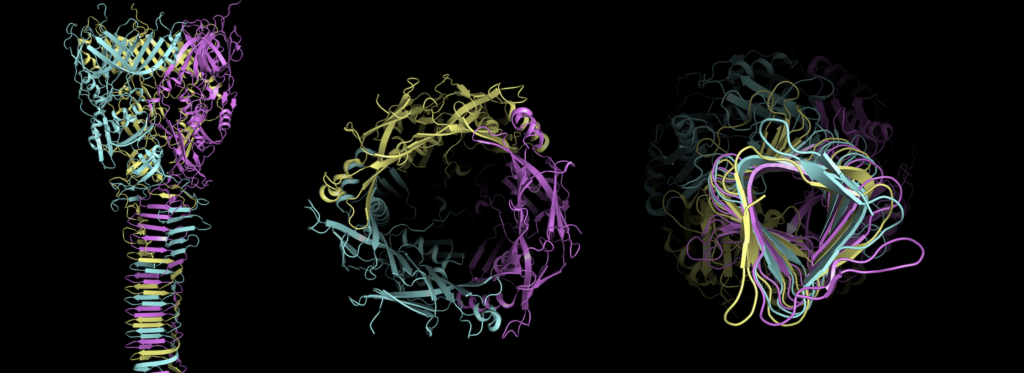 Structural Bioinformatics.