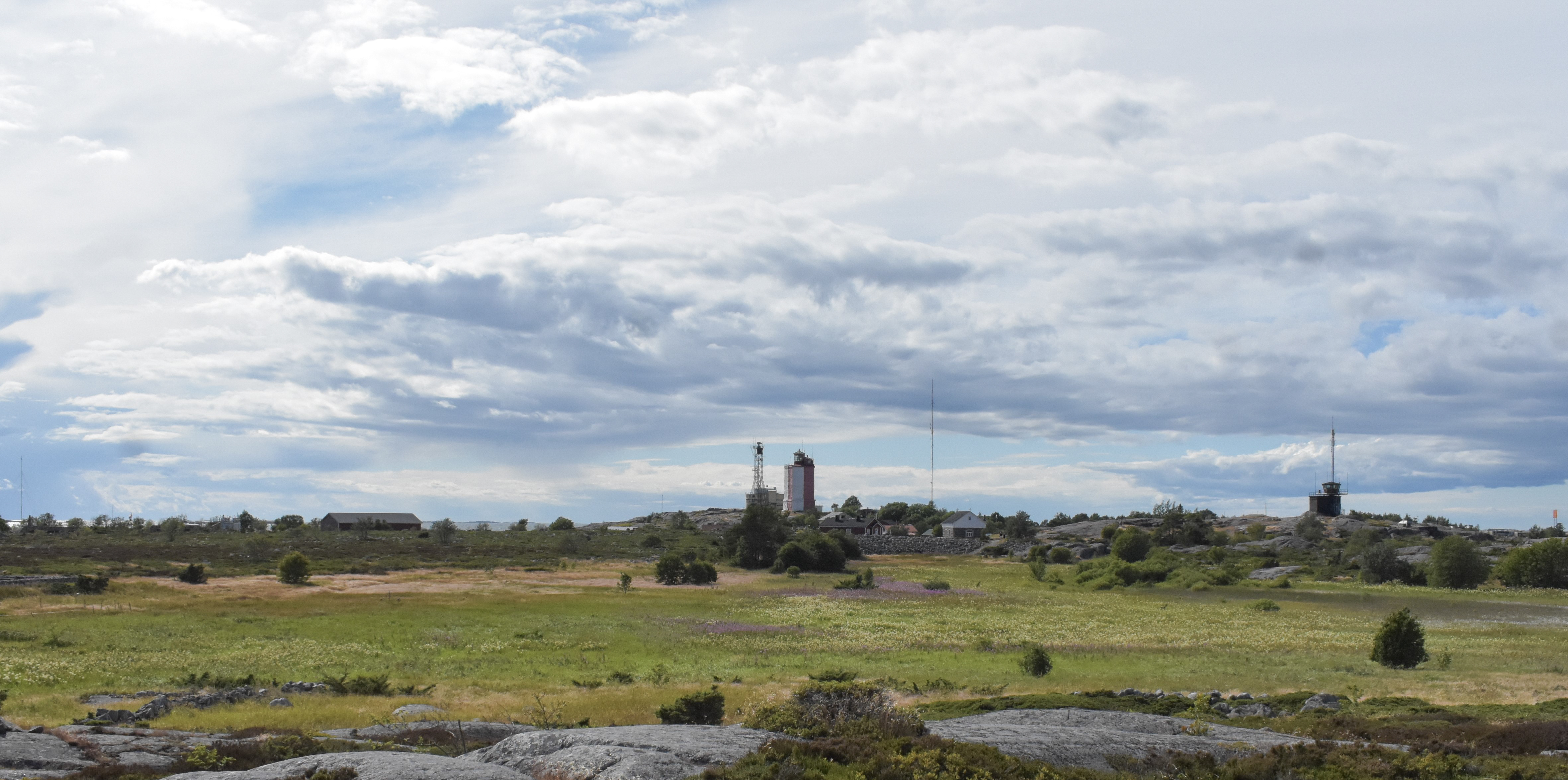 Vy över en grön äng.