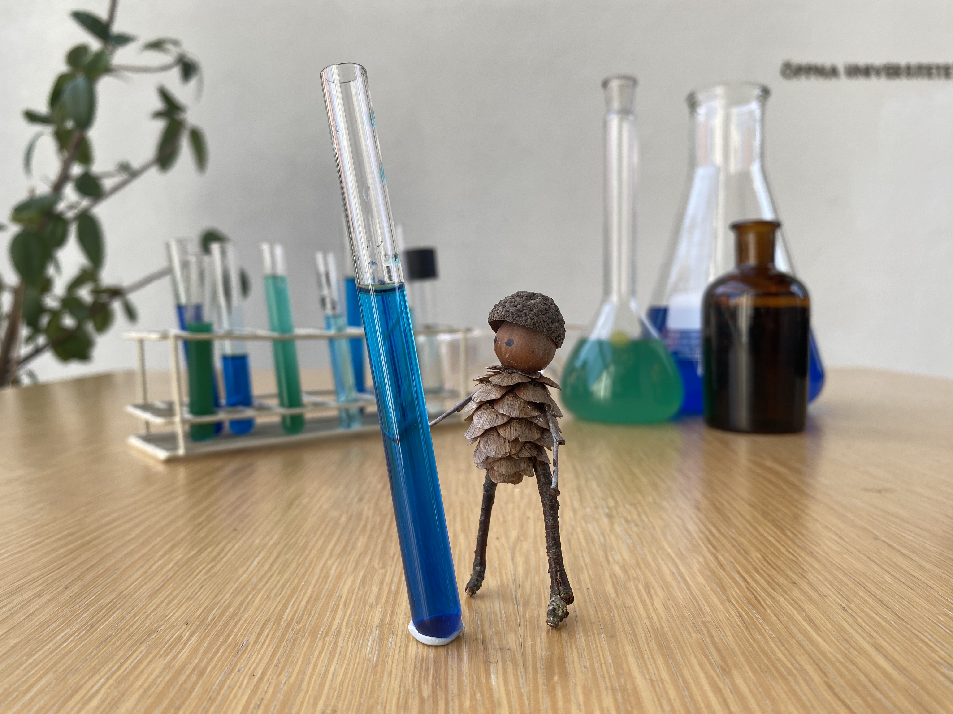 Omgivningsläraresursen