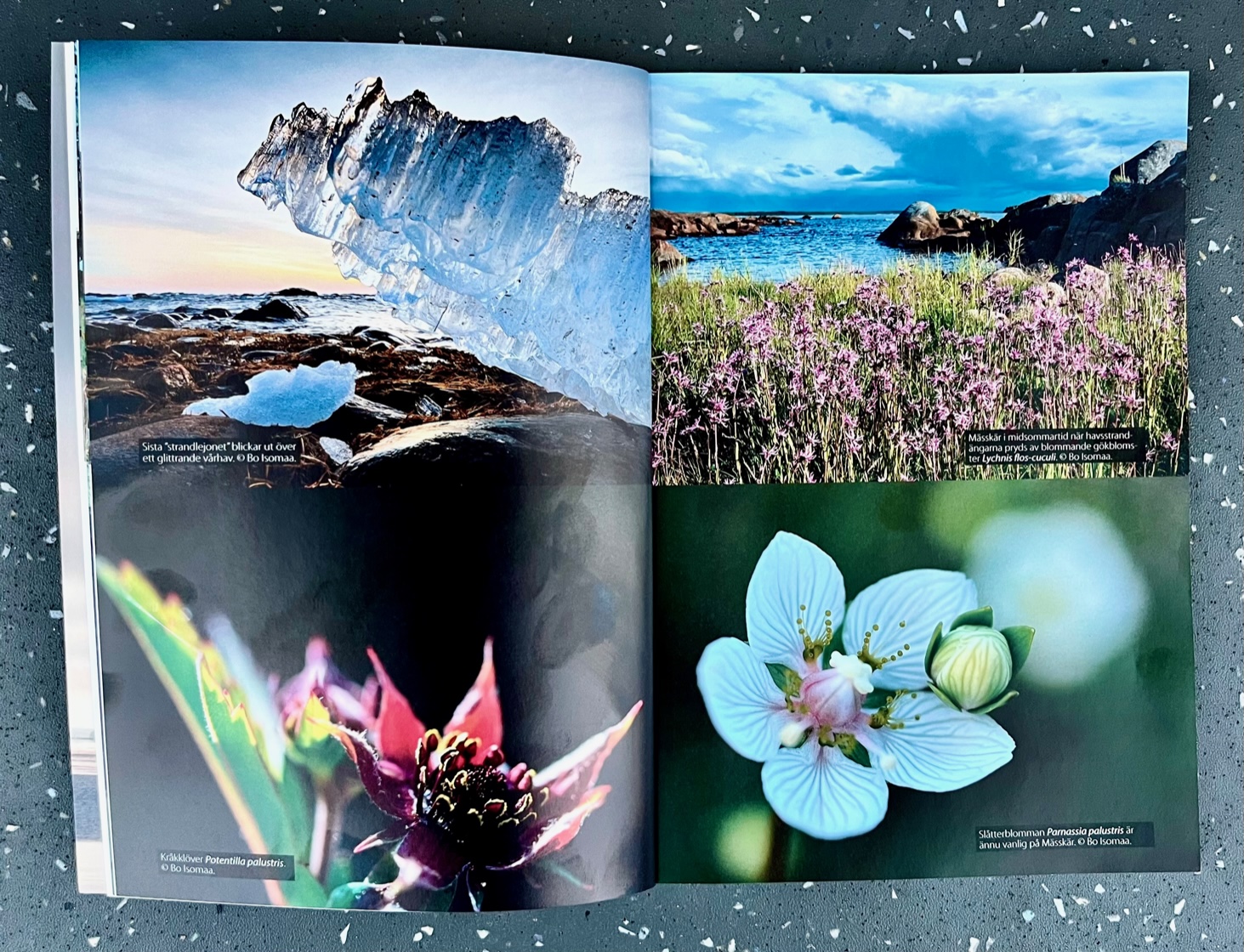 Uppslag av tidning med naturbilder.