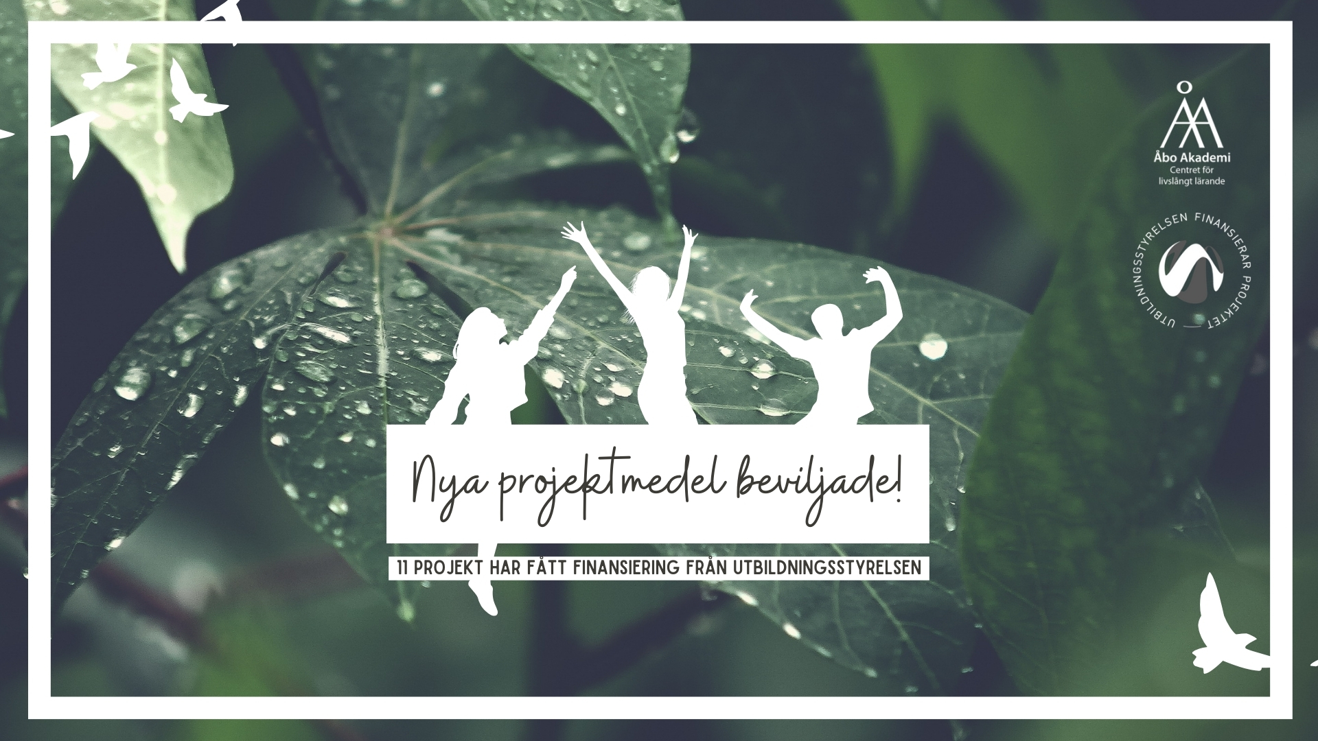 Dekorativ bild med rubriken "Nya projektmedel beviljade".