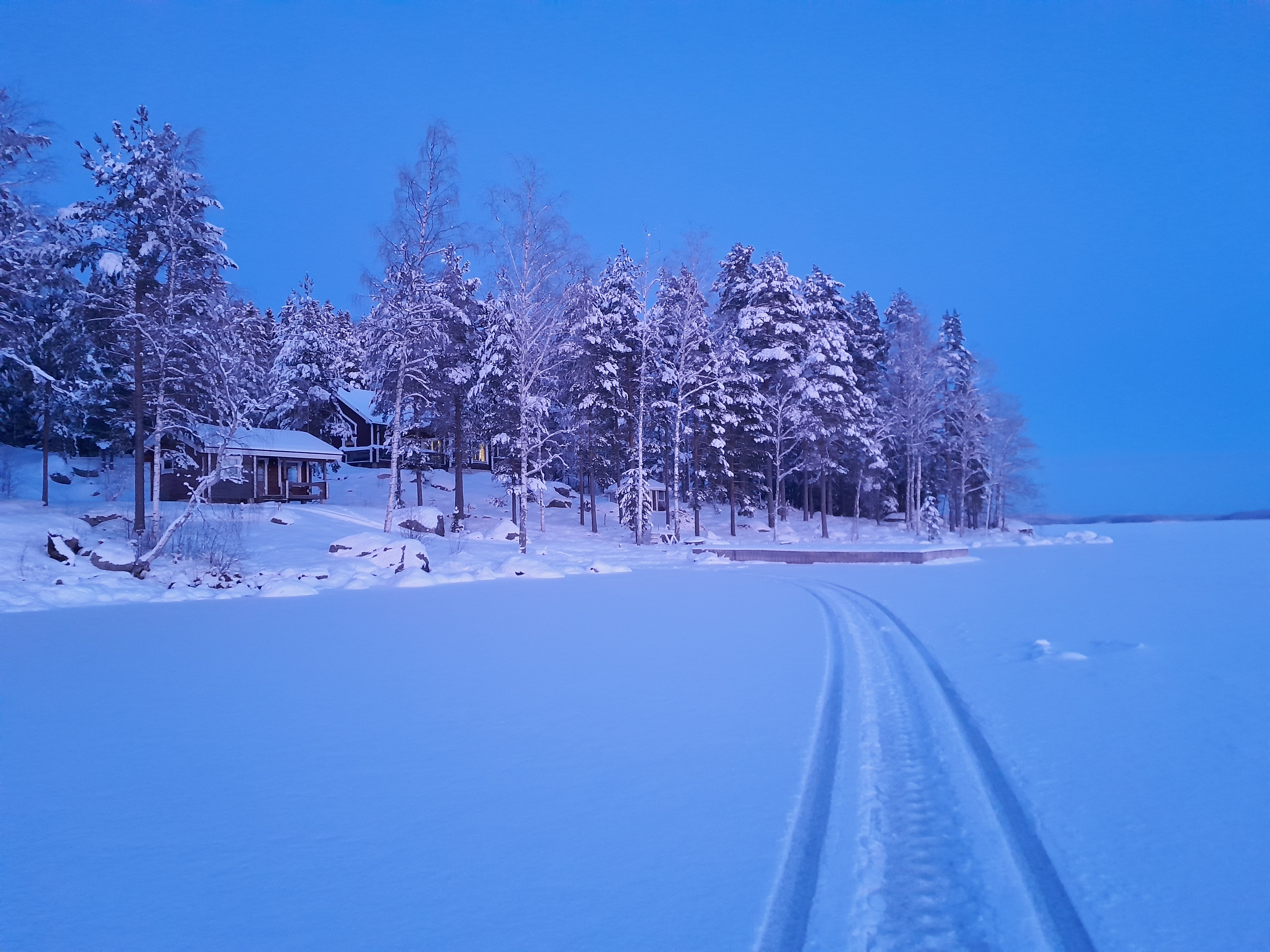 Vinterlandskap fotat från isen in mot land där det finns ett hus. Skidspår leder till huset.