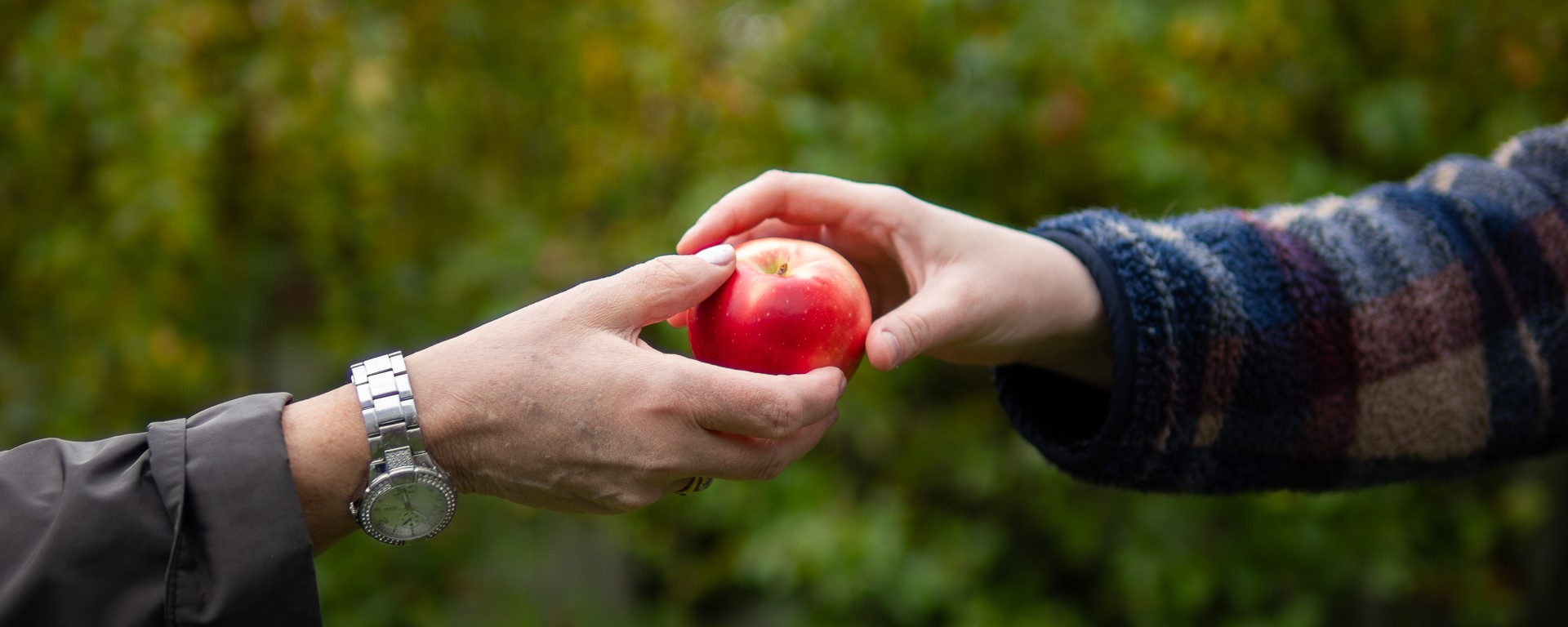 En hand som överräcker ett äpple till en annan hand,