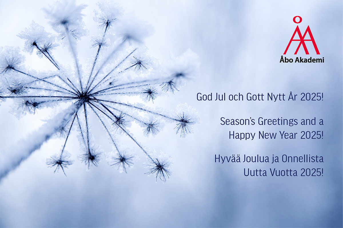 God jul och gott nytt år 2025! • Hyvää joulua ja onnellista uutta vuotta 2025! • Season’s Greetings and a Happy New Year 2025!