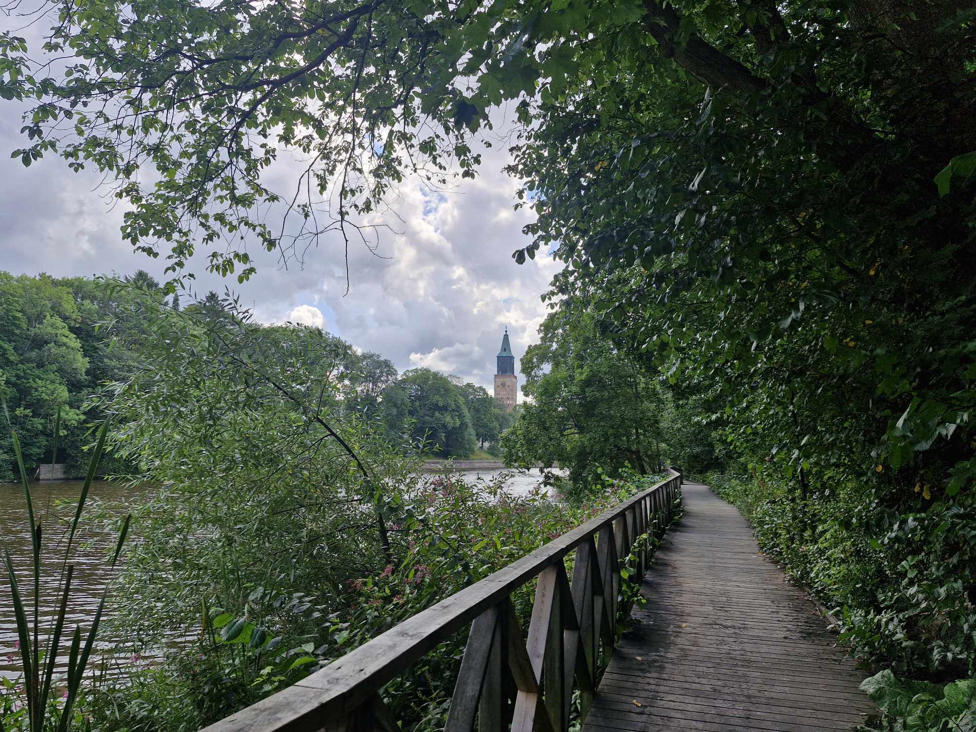 Sommarbild från promenadstråket vid Aura å i Åbo. Lummigt och grönt, med domkyrkan ocksy synlig i horisonten.