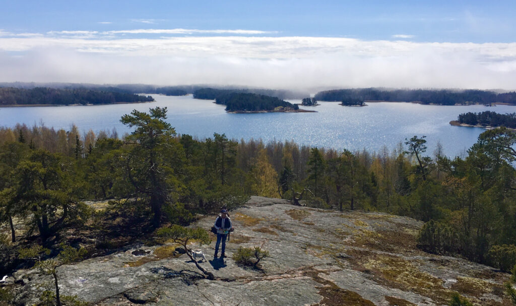 Vy över havet från hög höjd.