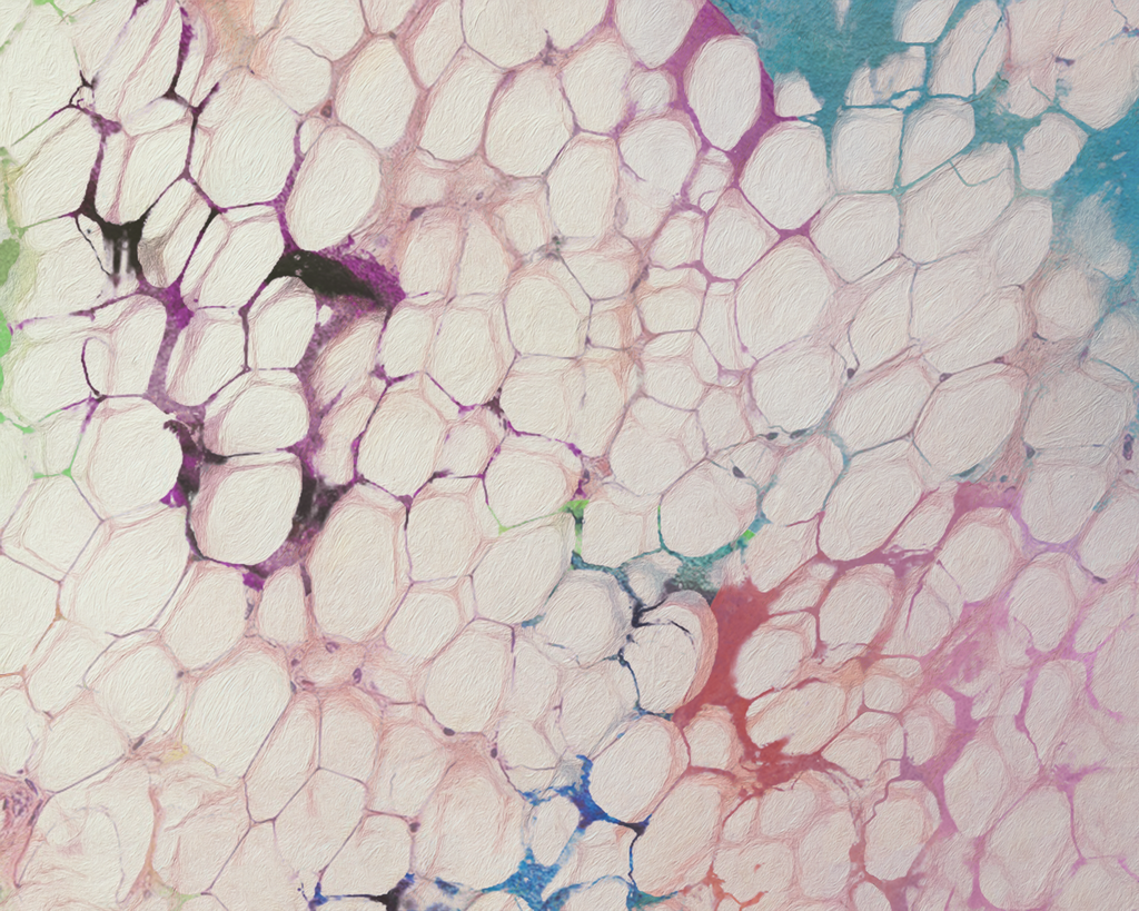 BioCity Symposium 2026 Explores the Expanding Role of Imaging in Life Sciences – Registration Now Open