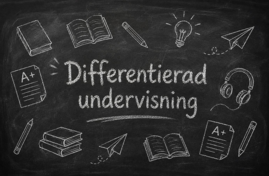 Differentierad undervisning
