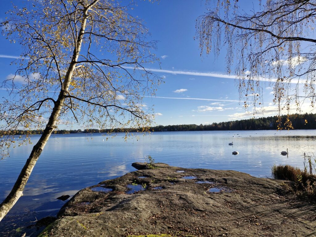 En höstig vy av björkar och berg i vattenbrynet.