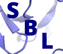 SBL-logo