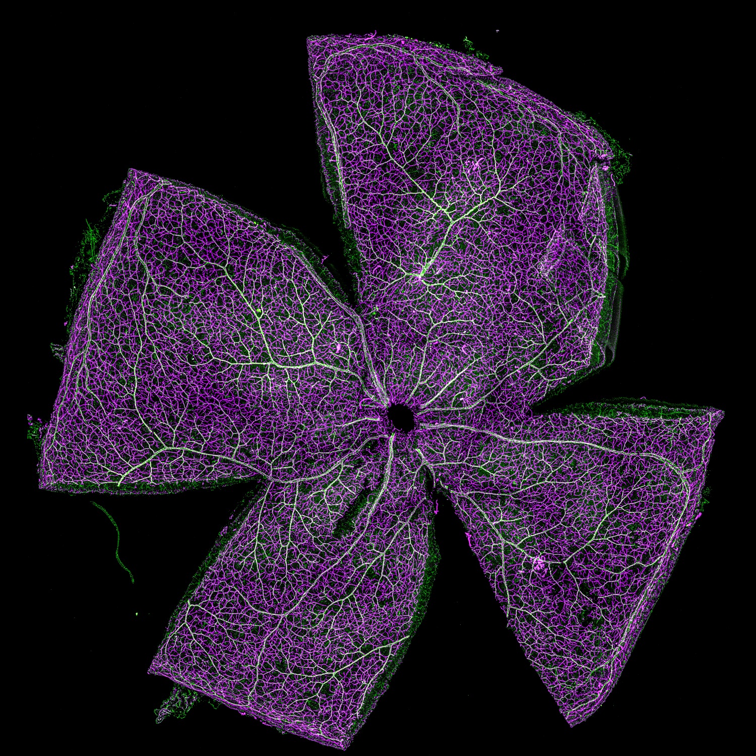 Frontiers of Science seminar series starts again